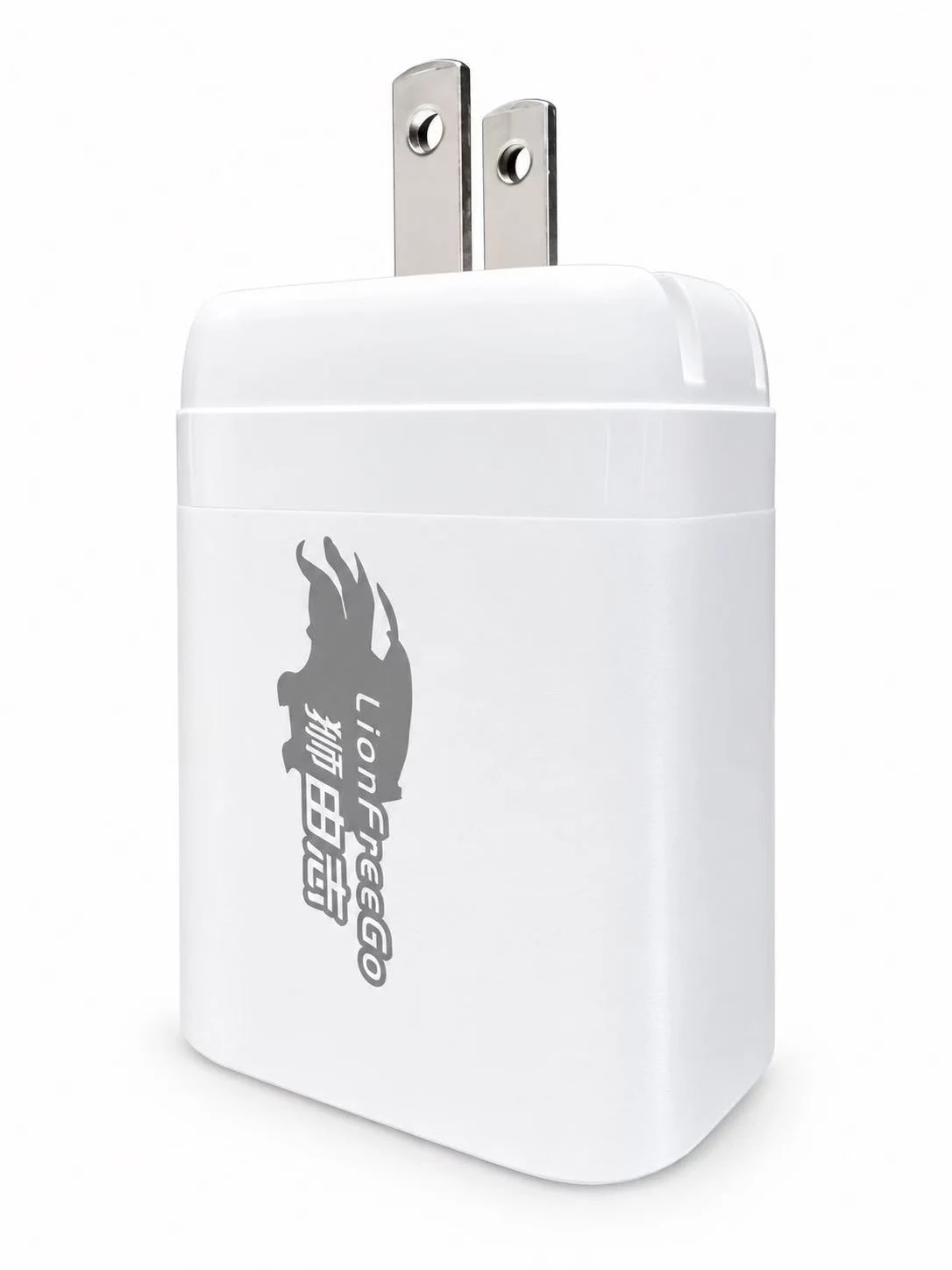 LIONFREEGO USB Wall Charger